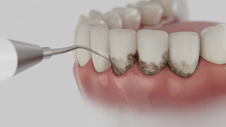 Reliable Dental contractor in Bristol, TN by Dentist Open Now